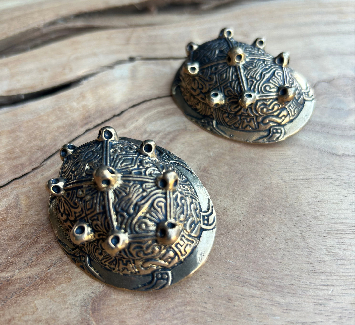 Bronze Tortoise Shell Brooches