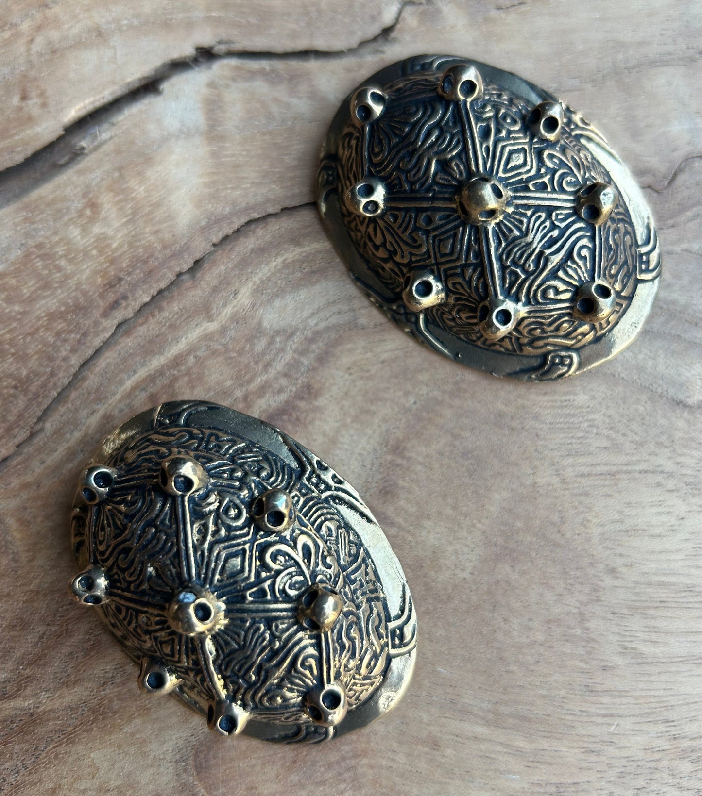 Bronze Tortoise Shell Brooches