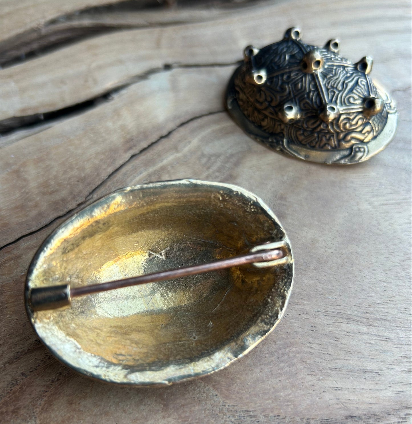 Bronze Tortoise Shell Brooches