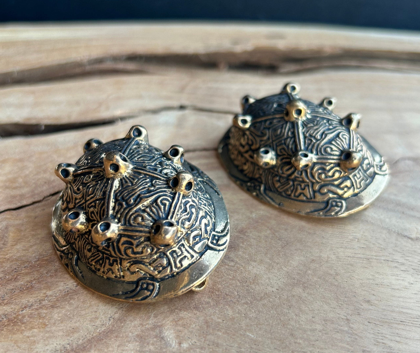 Bronze Tortoise Shell Brooches